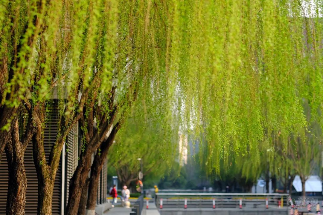 银行理财新风向：大买公募债基